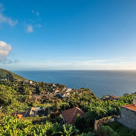 White Rabbit Ii By Homie Nyaraló